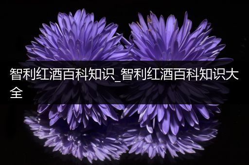 智利红酒百科知识_智利红酒百科知识大全
