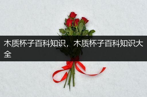 木质杯子百科知识，木质杯子百科知识大全