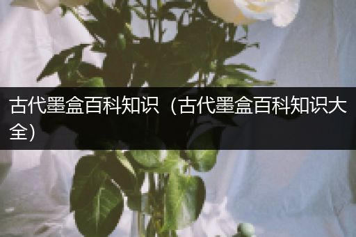 古代墨盒百科知识（古代墨盒百科知识大全）