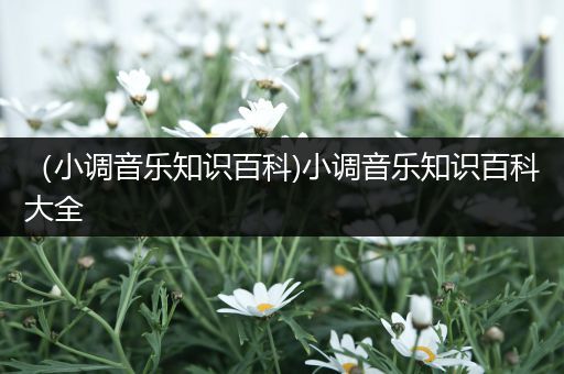 （小调音乐知识百科)小调音乐知识百科大全