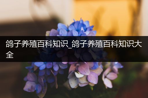 鸽子养殖百科知识_鸽子养殖百科知识大全