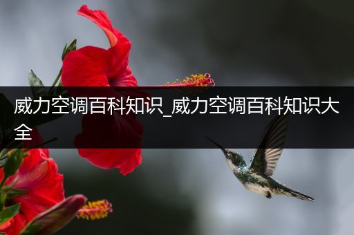 威力空调百科知识_威力空调百科知识大全