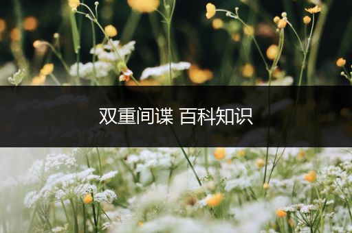 双重间谍 百科知识