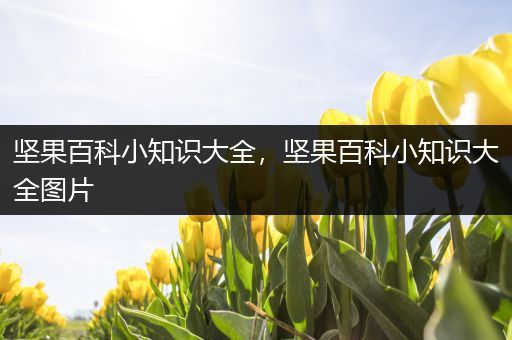 坚果百科小知识大全，坚果百科小知识大全图片