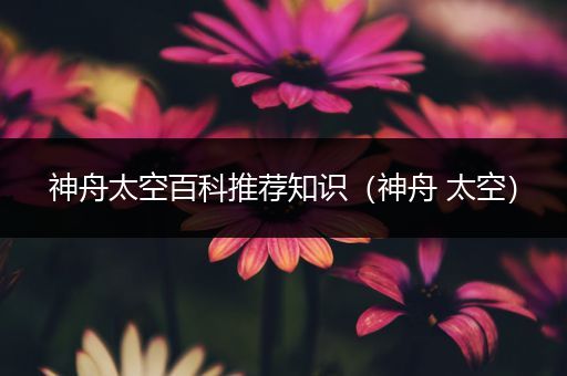 神舟太空百科推荐知识（神舟 太空）