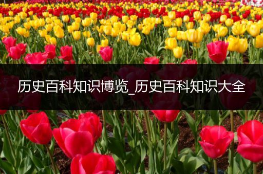 历史百科知识博览_历史百科知识大全