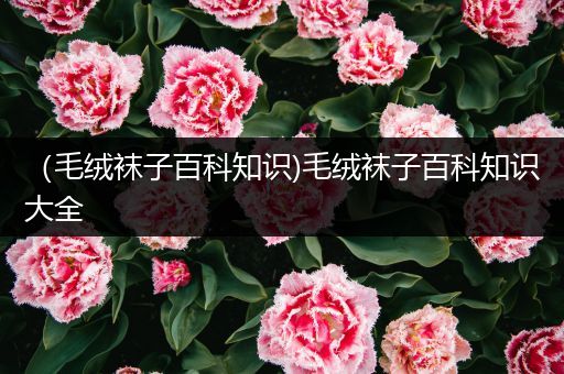 （毛绒袜子百科知识)毛绒袜子百科知识大全