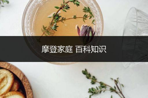 摩登家庭 百科知识