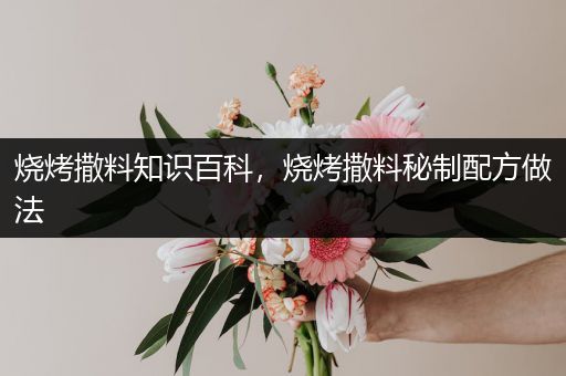 烧烤撒料知识百科，烧烤撒料秘制配方做法
