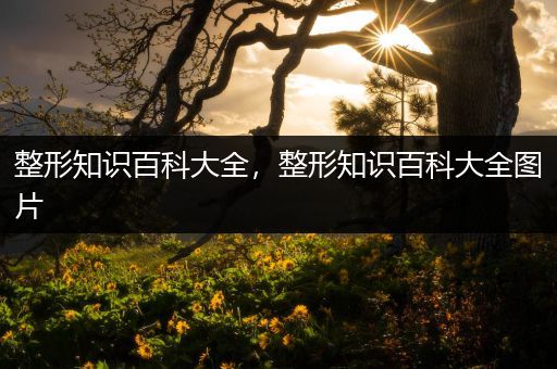 整形知识百科大全，整形知识百科大全图片