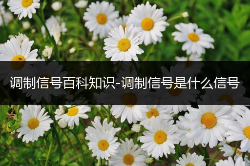 调制信号百科知识-调制信号是什么信号