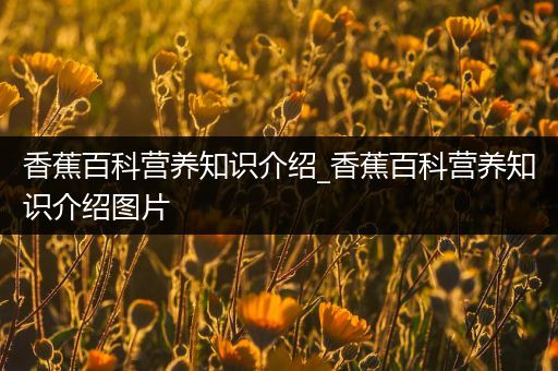 香蕉百科营养知识介绍_香蕉百科营养知识介绍图片
