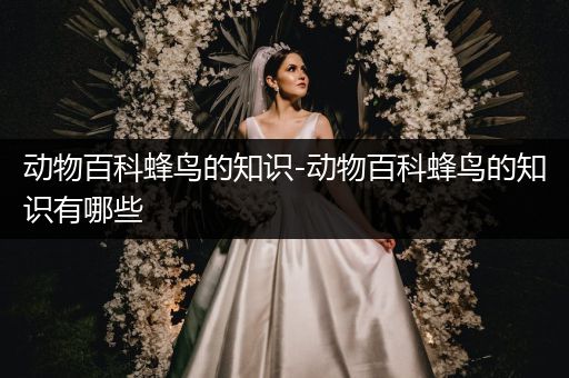 动物百科蜂鸟的知识-动物百科蜂鸟的知识有哪些