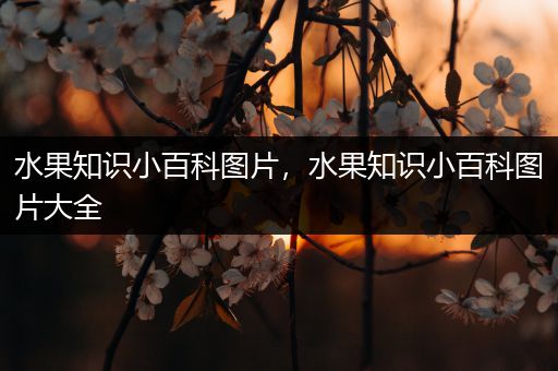水果知识小百科图片，水果知识小百科图片大全