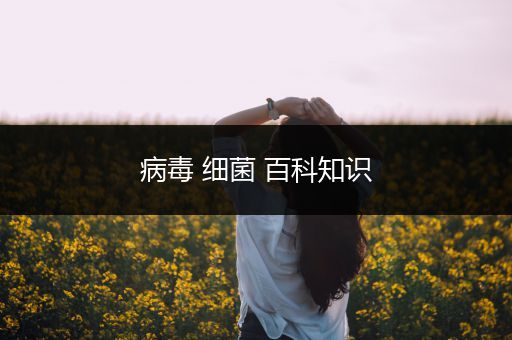 病毒 细菌 百科知识