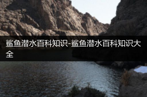 鲨鱼潜水百科知识-鲨鱼潜水百科知识大全