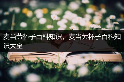 麦当劳杯子百科知识，麦当劳杯子百科知识大全