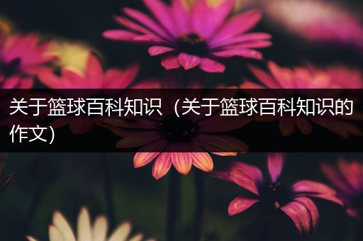 关于篮球百科知识（关于篮球百科知识的作文）