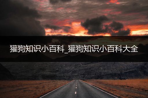 獾狗知识小百科_獾狗知识小百科大全