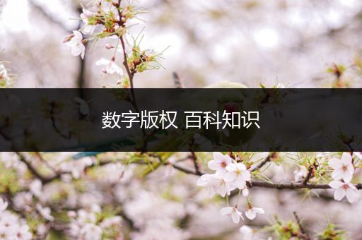 数字版权 百科知识