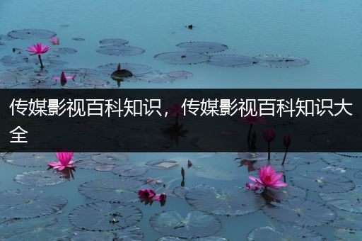 传媒影视百科知识，传媒影视百科知识大全
