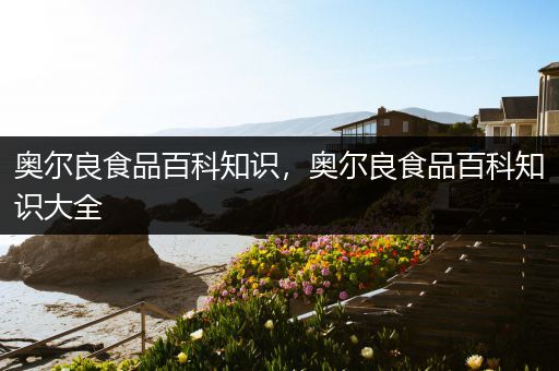 奥尔良食品百科知识，奥尔良食品百科知识大全
