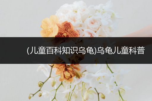（儿童百科知识乌龟)乌龟儿童科普