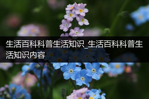 生活百科科普生活知识_生活百科科普生活知识内容