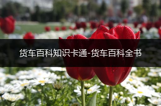 货车百科知识卡通-货车百科全书