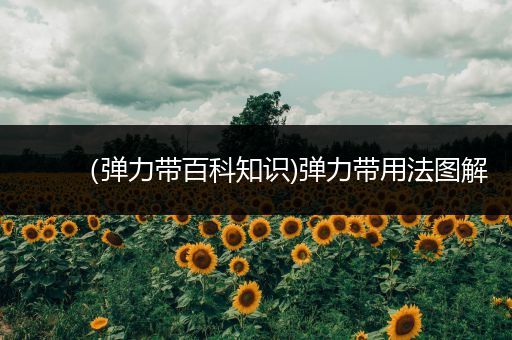 （弹力带百科知识)弹力带用法图解