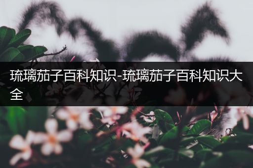 琉璃茄子百科知识-琉璃茄子百科知识大全