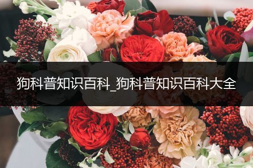 狗科普知识百科_狗科普知识百科大全