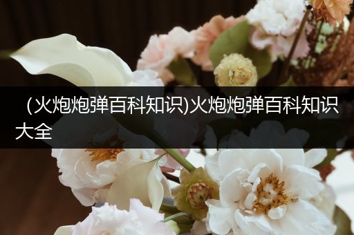 （火炮炮弹百科知识)火炮炮弹百科知识大全