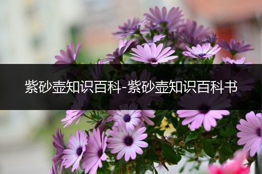 紫砂壶知识百科-紫砂壶知识百科书