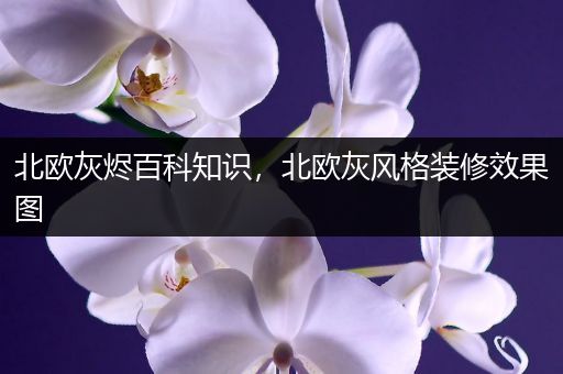 北欧灰烬百科知识，北欧灰风格装修效果图
