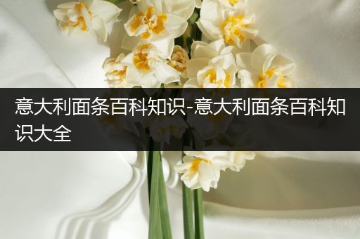 意大利面条百科知识-意大利面条百科知识大全