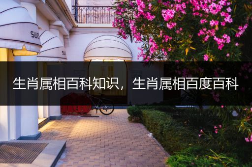 生肖属相百科知识，生肖属相百度百科