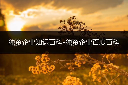 独资企业知识百科-独资企业百度百科