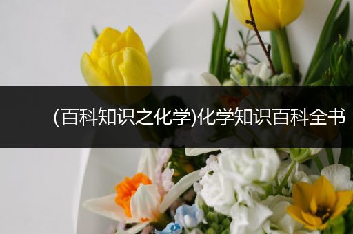 （百科知识之化学)化学知识百科全书