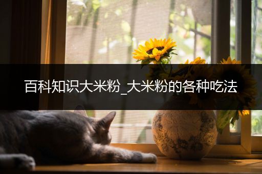 百科知识大米粉_大米粉的各种吃法