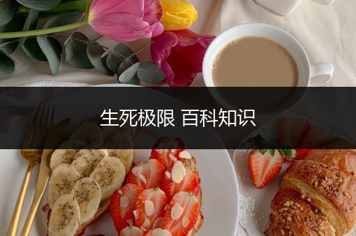 生死极限 百科知识
