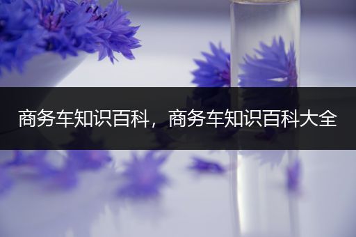 商务车知识百科，商务车知识百科大全