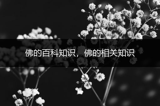 佛的百科知识，佛的相关知识