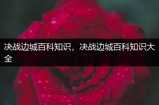 决战边城百科知识，决战边城百科知识大全