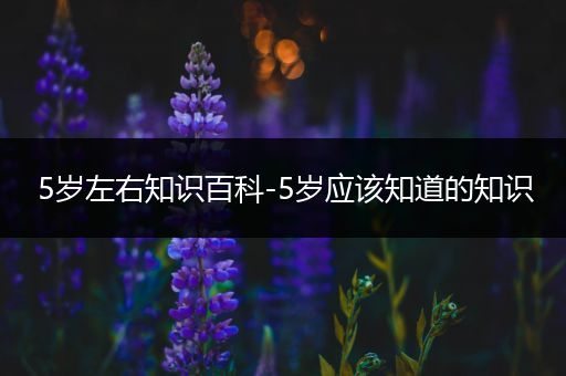 5岁左右知识百科-5岁应该知道的知识