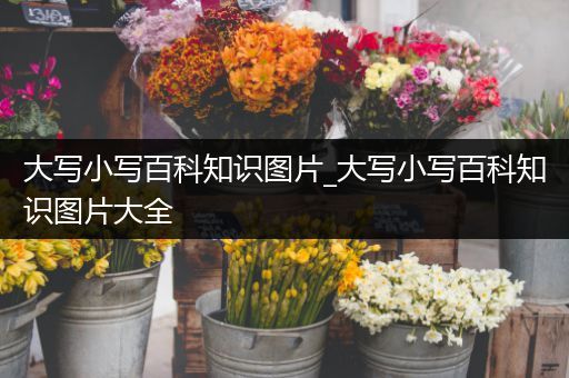 大写小写百科知识图片_大写小写百科知识图片大全