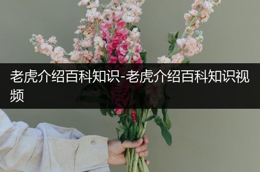 老虎介绍百科知识-老虎介绍百科知识视频