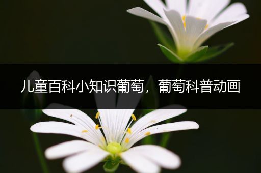 儿童百科小知识葡萄，葡萄科普动画