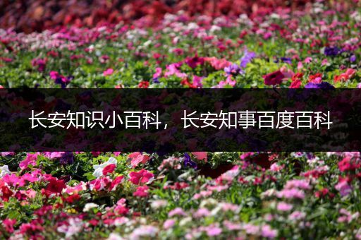 长安知识小百科，长安知事百度百科