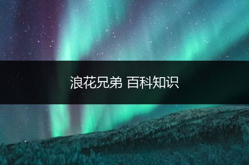 浪花兄弟 百科知识